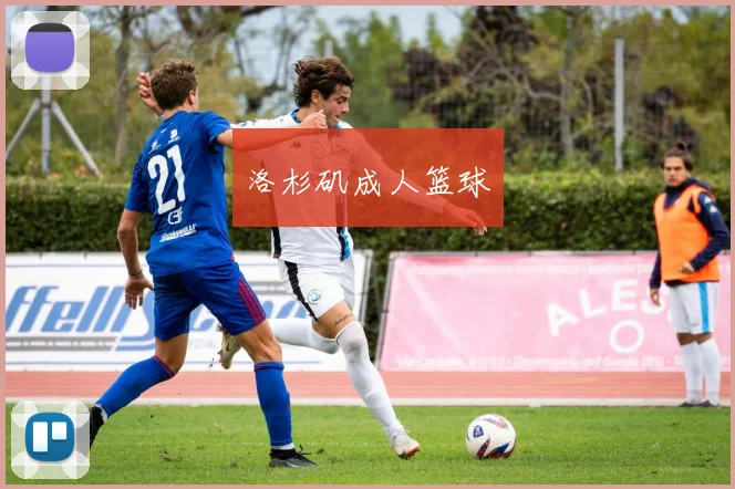 洛杉矶成人篮球