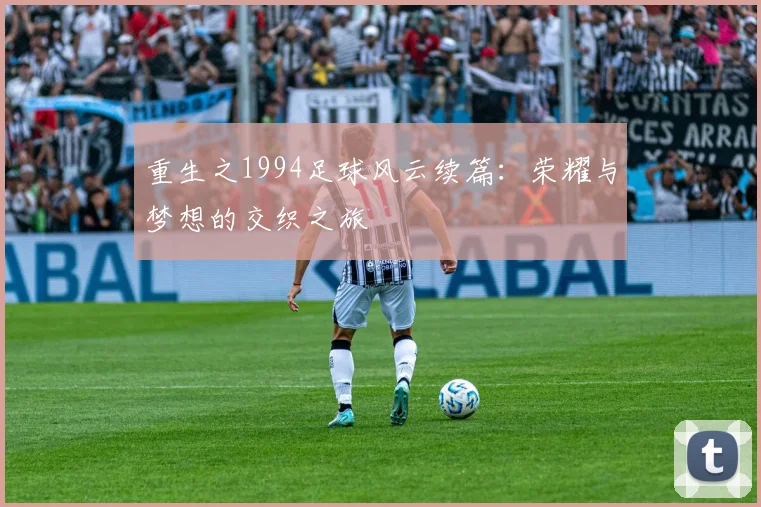 重生之1994足球风云续篇：荣耀与梦想的交织之旅