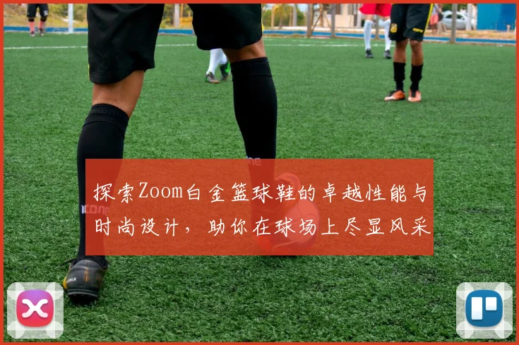 探索Zoom白金篮球鞋的卓越性能与时尚设计，助你在球场上尽显风采