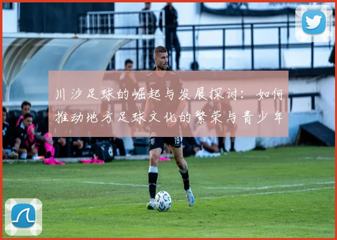 川沙足球的崛起与发展探讨：如何推动地方足球文化的繁荣与青少年参与