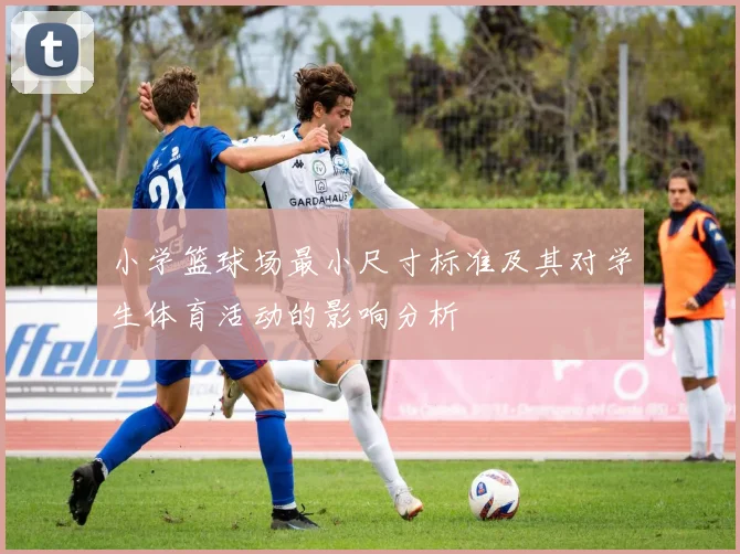 小学篮球场最小尺寸标准及其对学生体育活动的影响分析