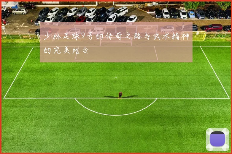少林足球9号的传奇之路与武术精神的完美结合